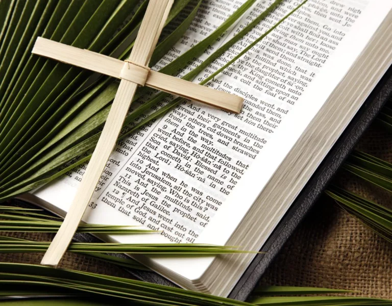 Rameaux – « Le Christ-Roi fait son entrée dans nos vies et dans nos maisons »