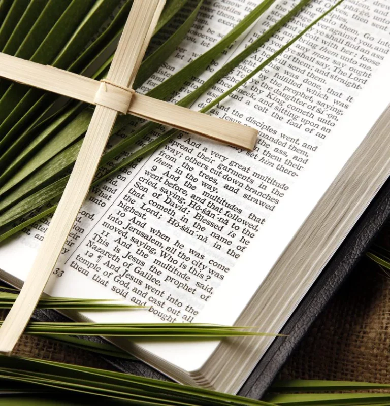 Rameaux – « Le Christ-Roi fait son entrée dans nos vies et dans nos maisons »